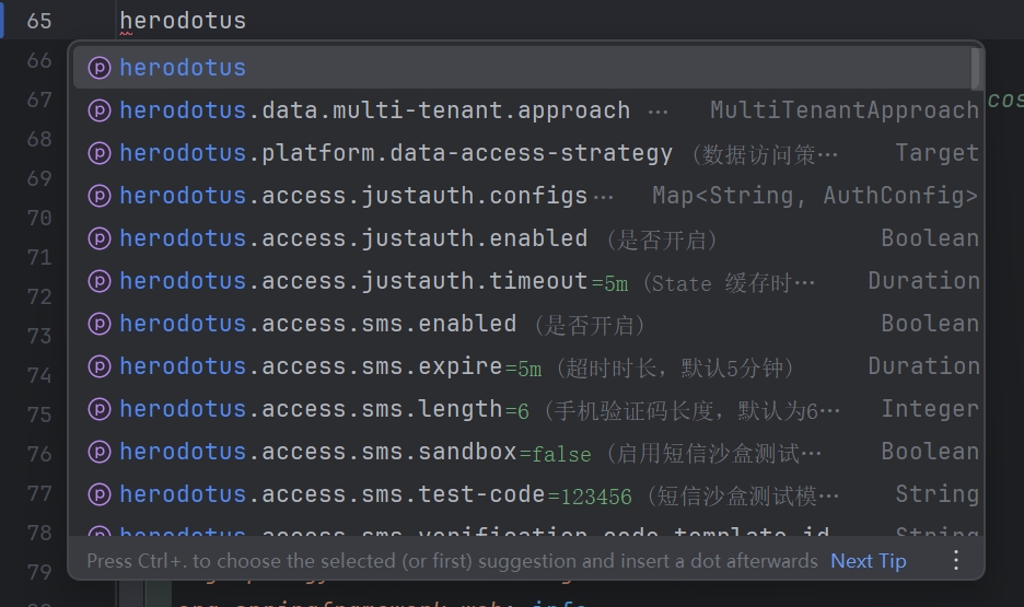 IDE提示